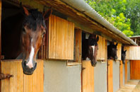 free Matterdale End stable construction quotes
